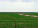 PICTURES/Cadillac Ranch/t_Walking Up To Cars6.JPG